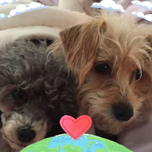 Meet your Posher, Maryellen - Picture 1 of 1